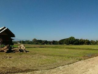 ขาย ที่ดิน ใน สันทราย, เชียงใหม่