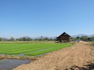 ขาย ที่ดิน ใน สันทราย, เชียงใหม่