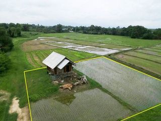 ขาย ที่ดิน ใน สันทราย, เชียงใหม่