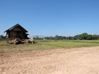 ขาย ที่ดิน ใน สันทราย, เชียงใหม่