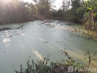 Terreno en venta en Doi Saket, Chiang Mai
