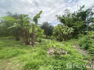 Terreno en venta en Doi Saket, Chiang Mai