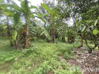 Terreno en venta en Doi Saket, Chiang Mai