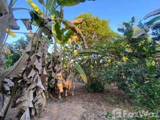 Terreno en venta en Doi Saket, Chiang Mai