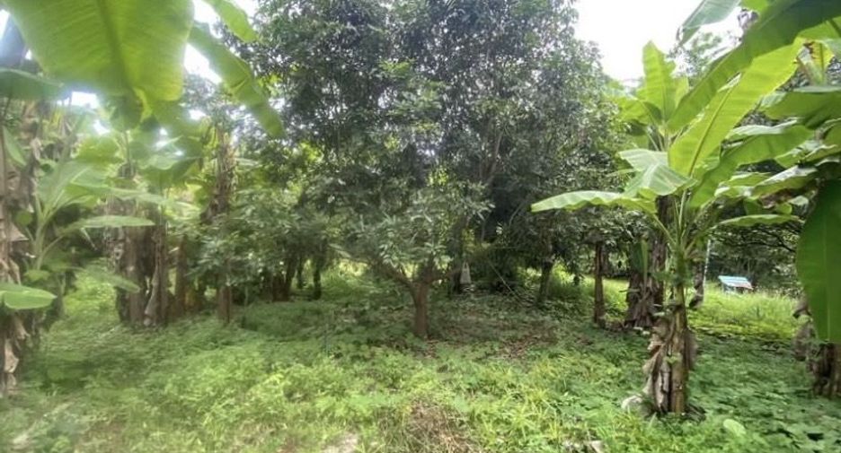 Terreno en venta en Doi Saket, Chiang Mai