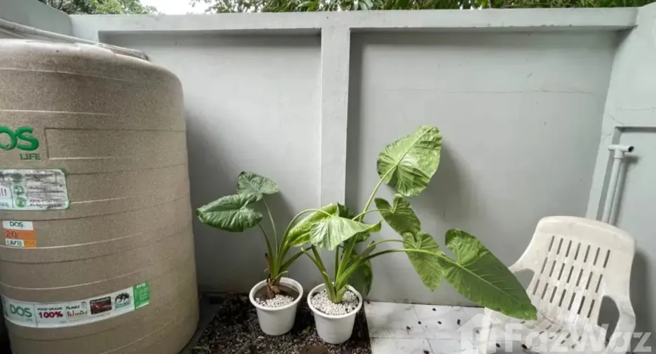 For rent 2 bedrooms townhouse in Mueang Chiang Mai, Chiang Mai