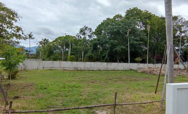For sale land in Mae Rim, Chiang Mai