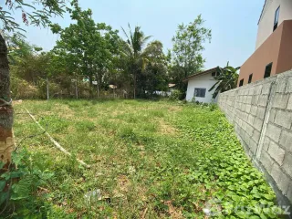 ขาย ที่ดิน ใน สันทราย, เชียงใหม่