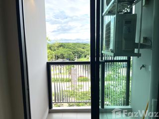 Wohnung zur Miete mit 1 Zimmer in Mueang Chiang Mai, Chiang Mai