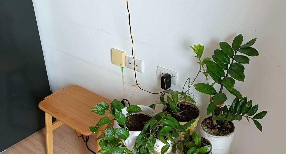 For rent 1 bed condo in Mueang Chiang Mai, Chiang Mai