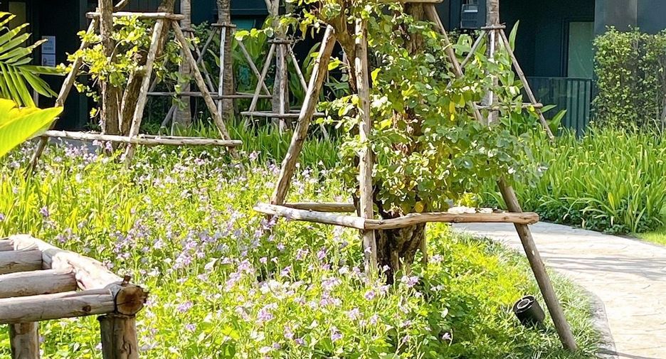 For rent 1 bed condo in Mueang Chiang Mai, Chiang Mai