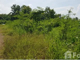 Terreno en venta en Mueang Lamphun, Lamphun