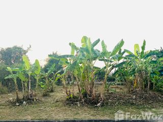 ขาย ที่ดิน ใน สันทราย, เชียงใหม่