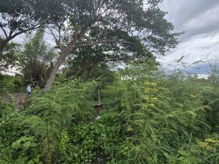 For sale land in Hang Dong, Chiang Mai