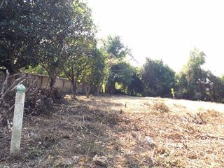 For sale land in San Pa Tong, Chiang Mai