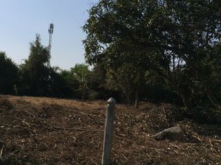 For sale land in San Pa Tong, Chiang Mai