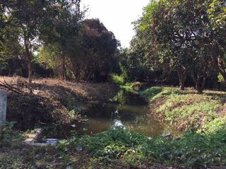 For sale land in San Pa Tong, Chiang Mai