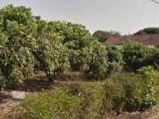 For sale land in Mae Taeng, Chiang Mai