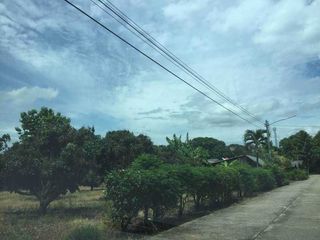 For sale land in Mae Taeng, Chiang Mai
