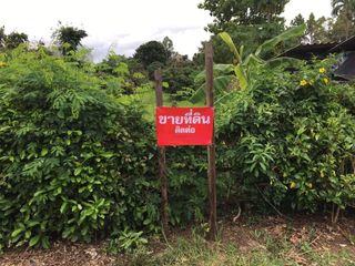 For sale land in Mae Taeng, Chiang Mai