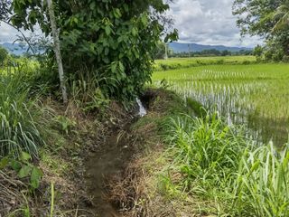 For sale land in Mae Rim, Chiang Mai