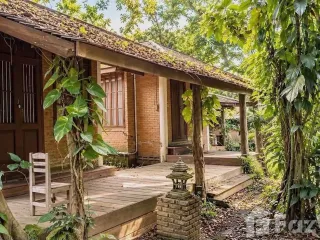 For sale 5 bedrooms house in San Sai, Chiang Mai