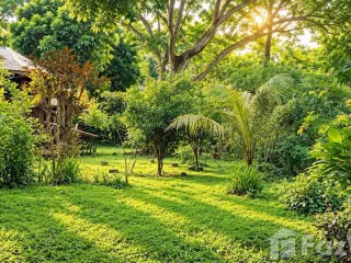 For sale 5 bedrooms house in San Sai, Chiang Mai