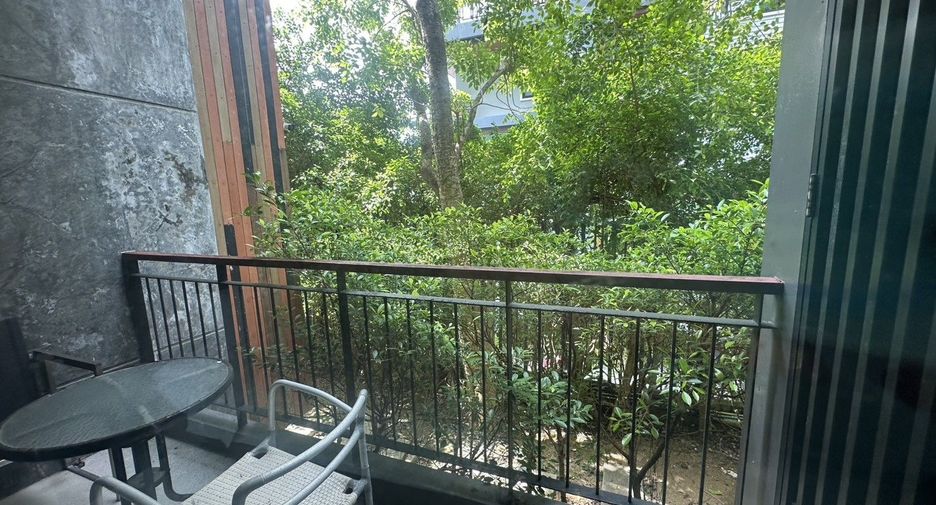 For sale and for rent studio condo in Kathu, Phuket