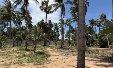 Terreno en venta en Ko Samui, Surat Thani