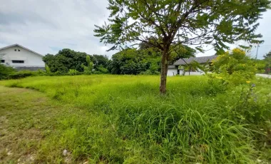 For sale land in San Kamphaeng, Chiang Mai