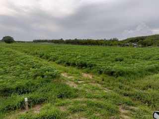 Grundstück zum Kauf in Nikhom Phatthana, Rayong