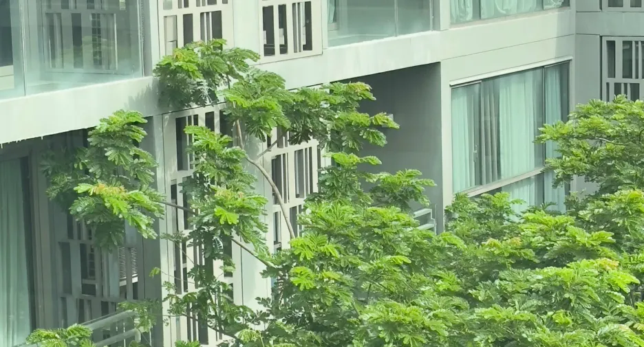 Wohnung zum Kauf mit 1 Zimmer in Watthana, Bangkok