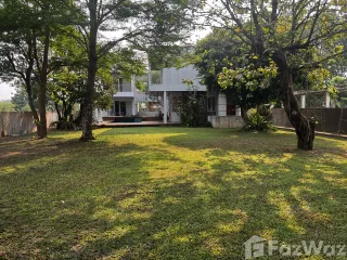 For sale 4 bedrooms house in Tha Bo, Nong Khai