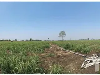 For sale land in Sa Bot, Lopburi