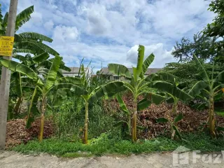 For sale land in Bang Bua Thong, Nonthaburi