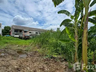 For sale land in Bang Bua Thong, Nonthaburi