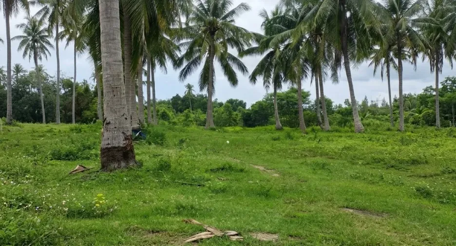 Grundstück zum Kauf in Thap Sakae, Prachuap Khiri Khan
