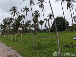 Grundstück zum Kauf in Thap Sakae, Prachuap Khiri Khan