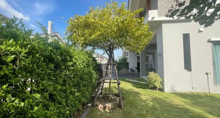 For rent 4 bedrooms house in Lat Krabang, Bangkok