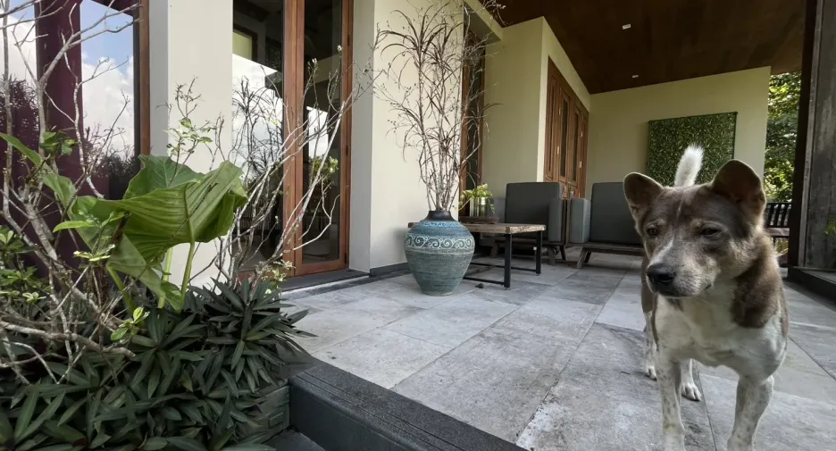 À louer 1 chambre maison à Mueang Phuket, Phuket