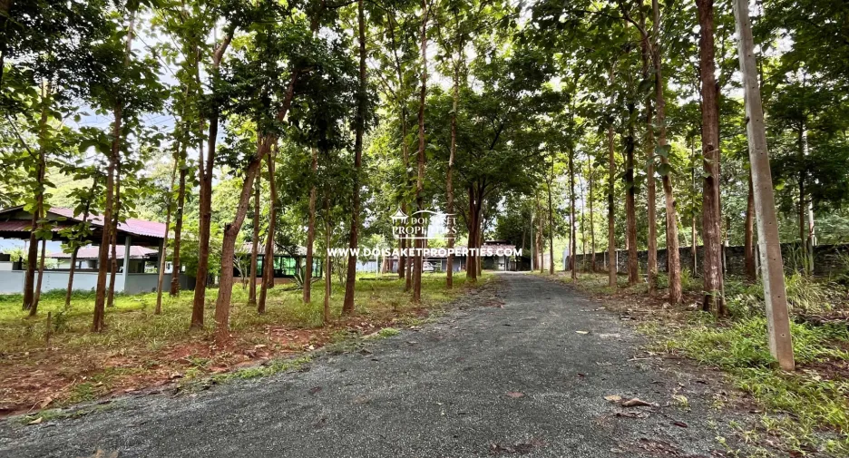 Local comercial en venta en Doi Saket, Chiang Mai
