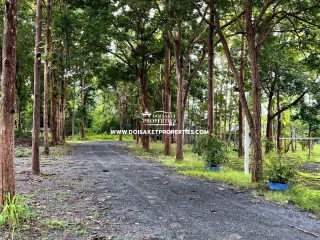 For sale retail Space in Doi Saket, Chiang Mai