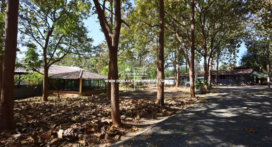 Local comercial en venta en Doi Saket, Chiang Mai