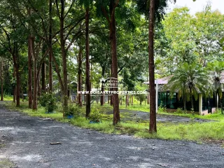 For sale retail Space in Doi Saket, Chiang Mai
