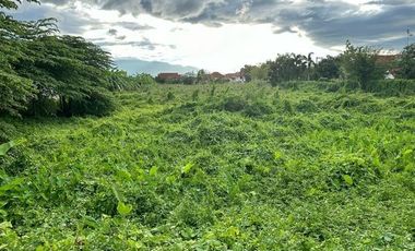 For sale land in San Sai, Chiang Mai