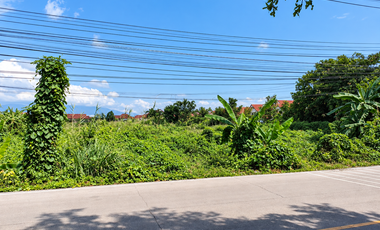 For sale land in San Sai, Chiang Mai