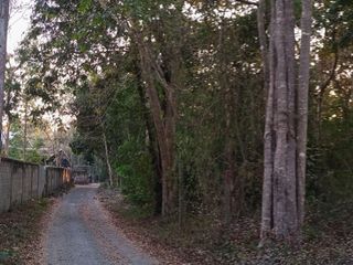 Grundstück zum Kauf in San Pa Tong, Chiang Mai