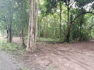 Grundstück zum Kauf in San Pa Tong, Chiang Mai