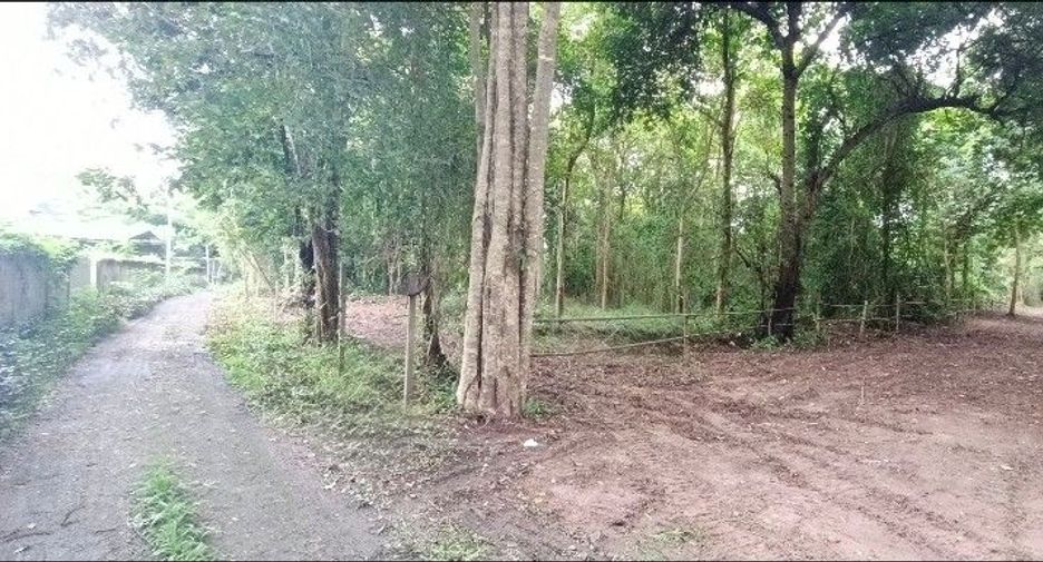 Grundstück zum Kauf in San Pa Tong, Chiang Mai