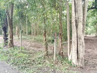 Grundstück zum Kauf in San Pa Tong, Chiang Mai